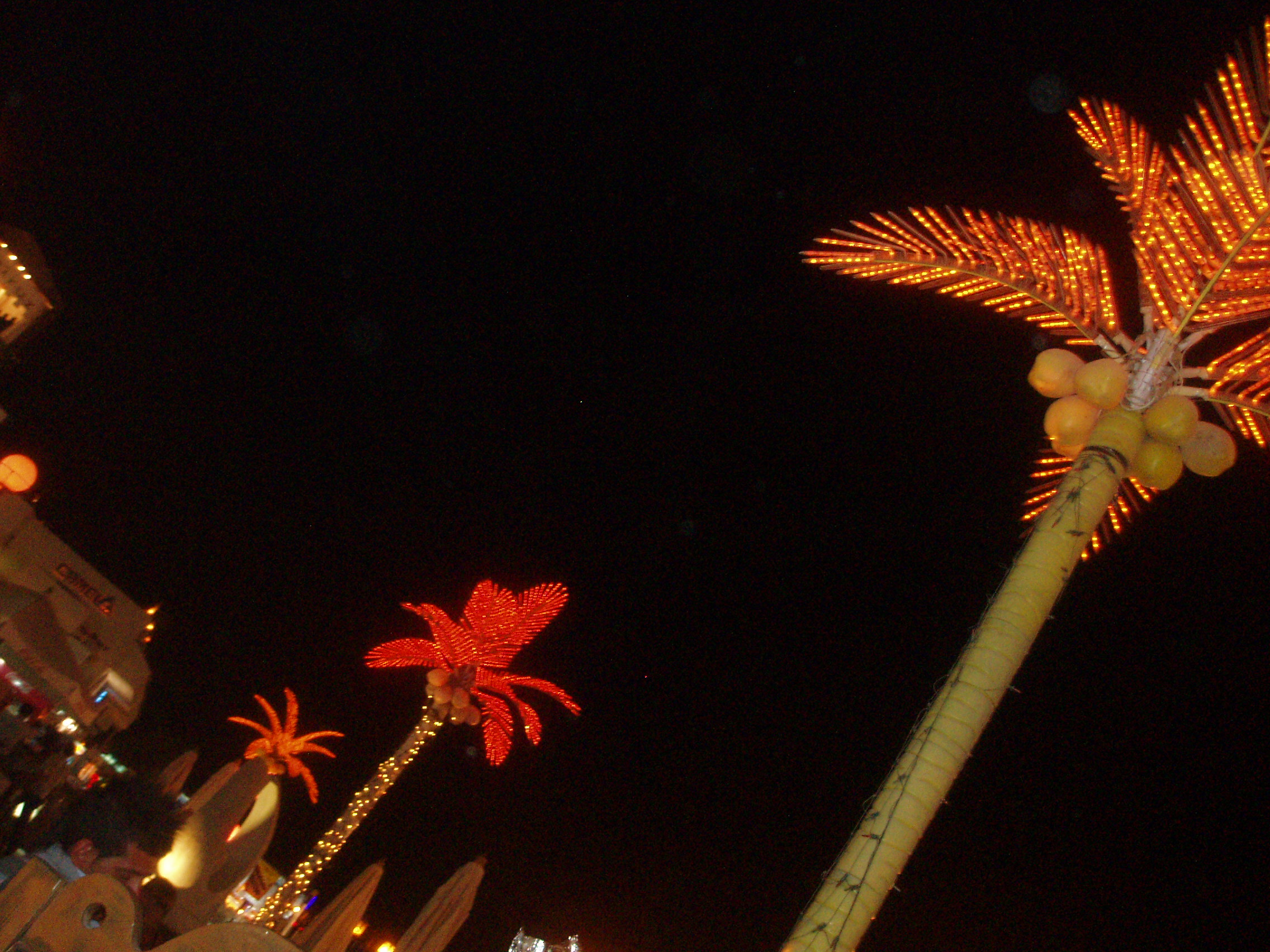 P9100039.JPG